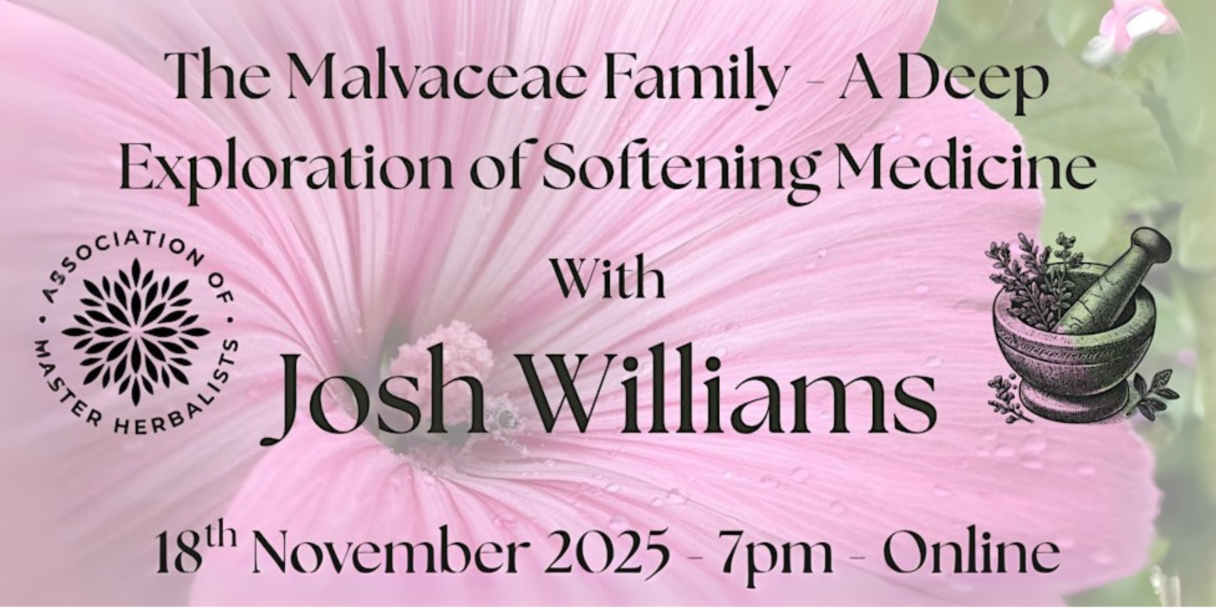 The Malvaceae Family - A Deep Exploration of Softening Medicine with Josh Williams